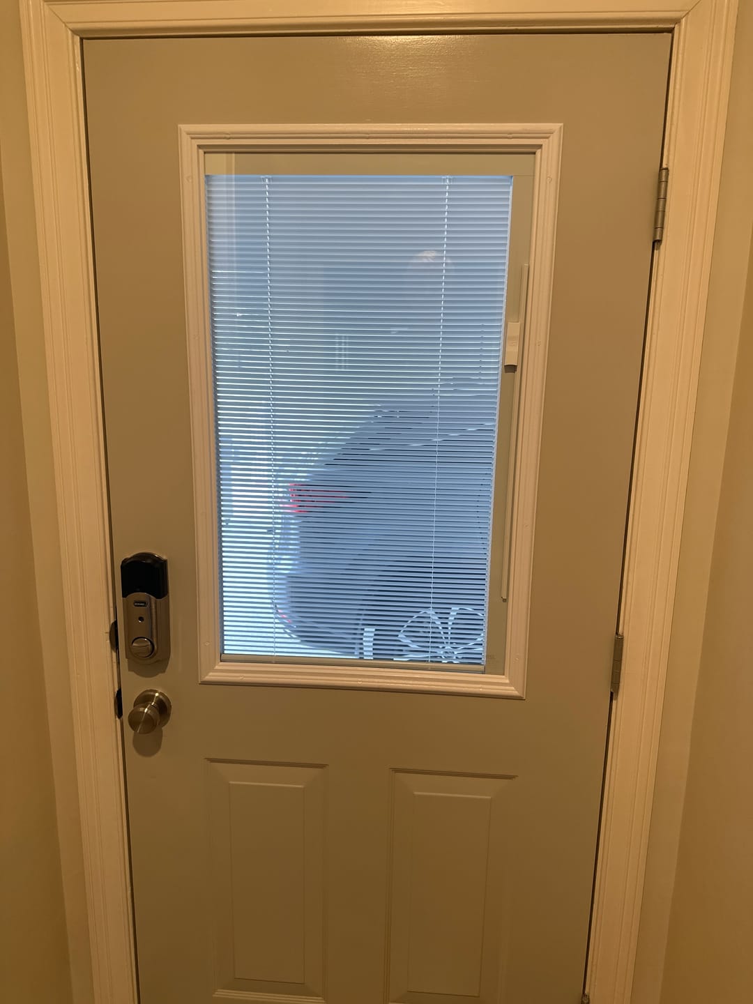 Customer photo review of Raise & Lower Blinds Glass and Frame Kit (Half Lite)