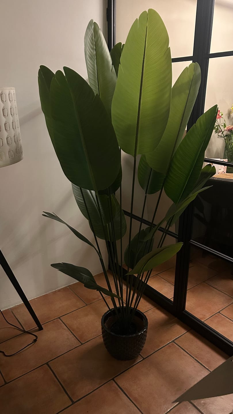 Customer photo review of Kunst Bananenplant 180cm