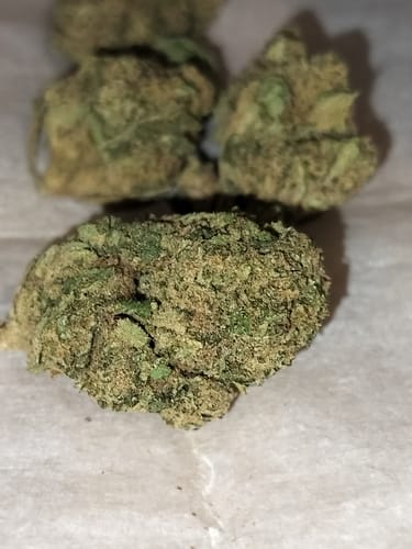 Customer photo review of Green Apple Gas