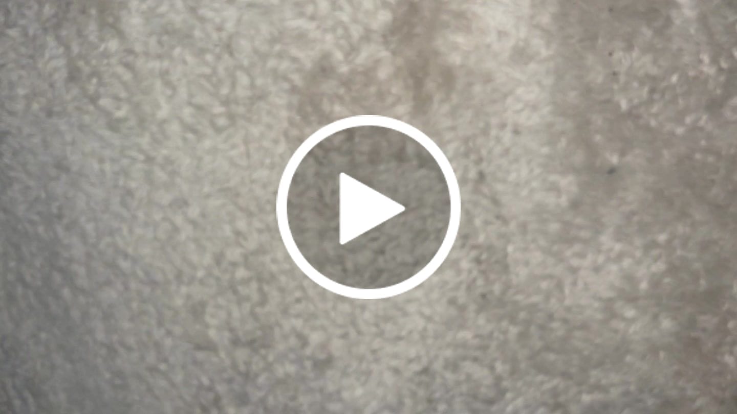 Customer video review of Period + PMS Support  - Save 65%+