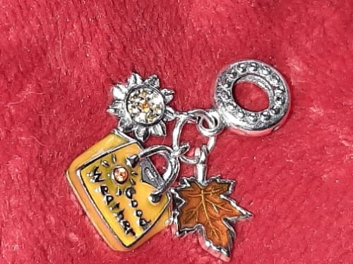 Customer photo review of 925 Sterling Silver Good Weather Shopping Bag Charm