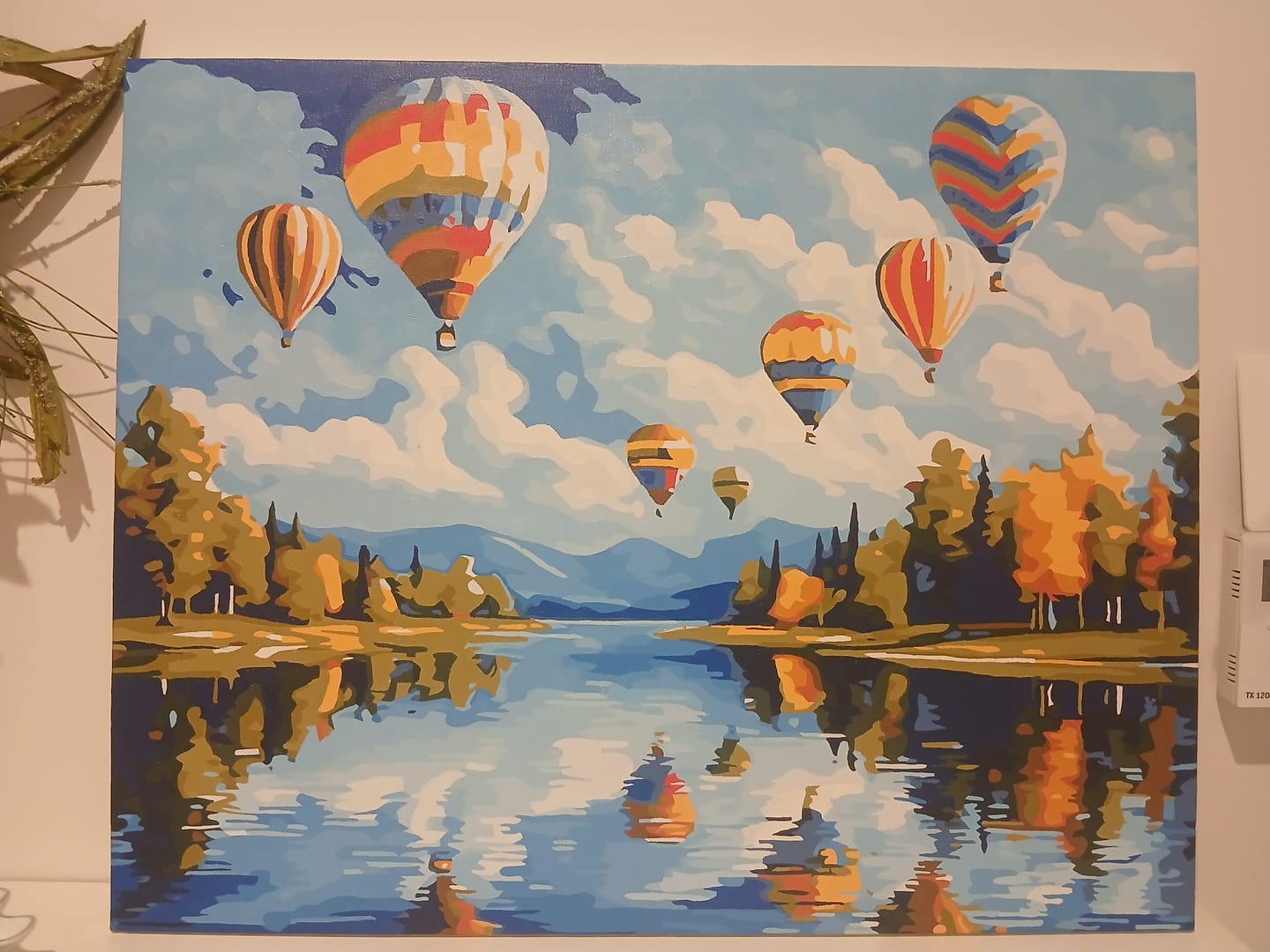 Customer photo review of Hot Air Balloon Showcase