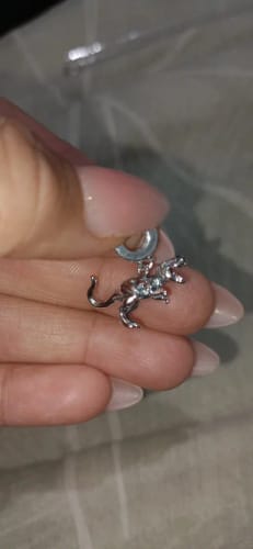 Customer photo review of 925 Sterling Silver T-Rex Dinosaur Charm