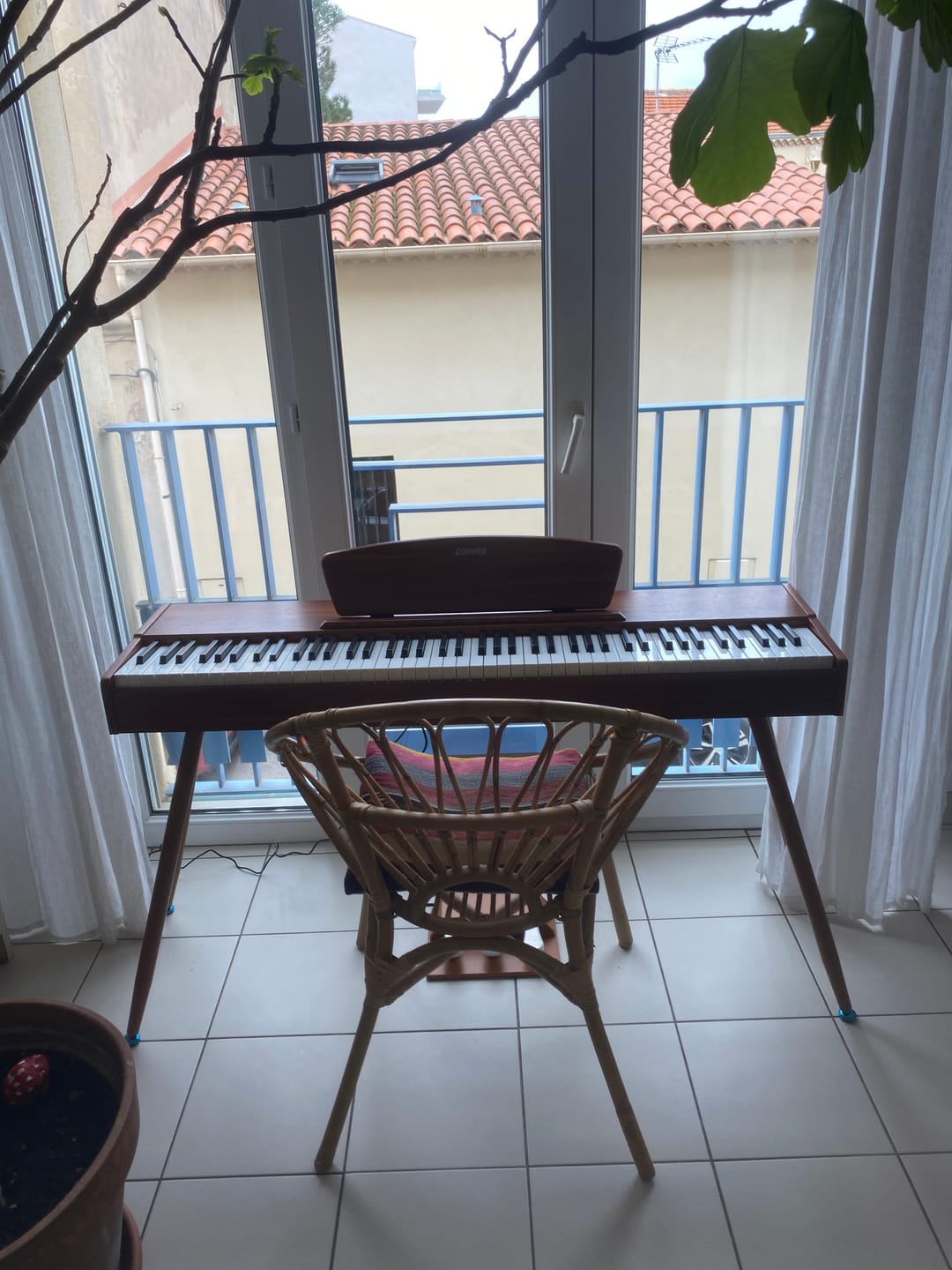Customer photo review of 【PRÉ-VENTE】Donner DDP-80 Piano numérique domestique 88 touches Style boisé - Expédition le 22 février