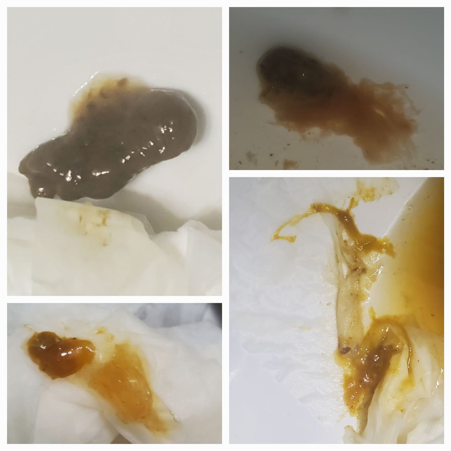 Customer photo review of LONNIE TONIC