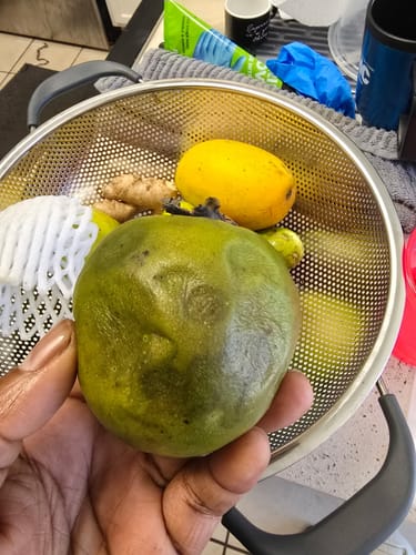 Customer photo review of Tropical Variety Box