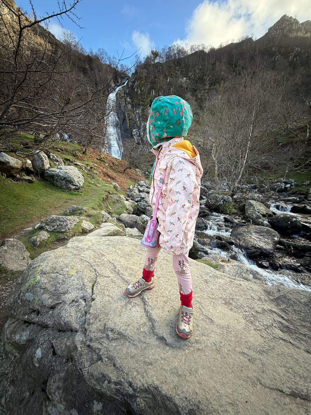 Customer photo review of Origami Birds Waterproof Recycled Raincoat