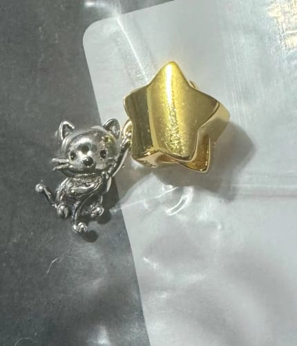 Customer photo review of 925 Sterling Silver Kitty Cat Charm