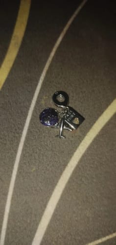 Customer photo review of 925 Sterling Silver Travel Dangle Charm