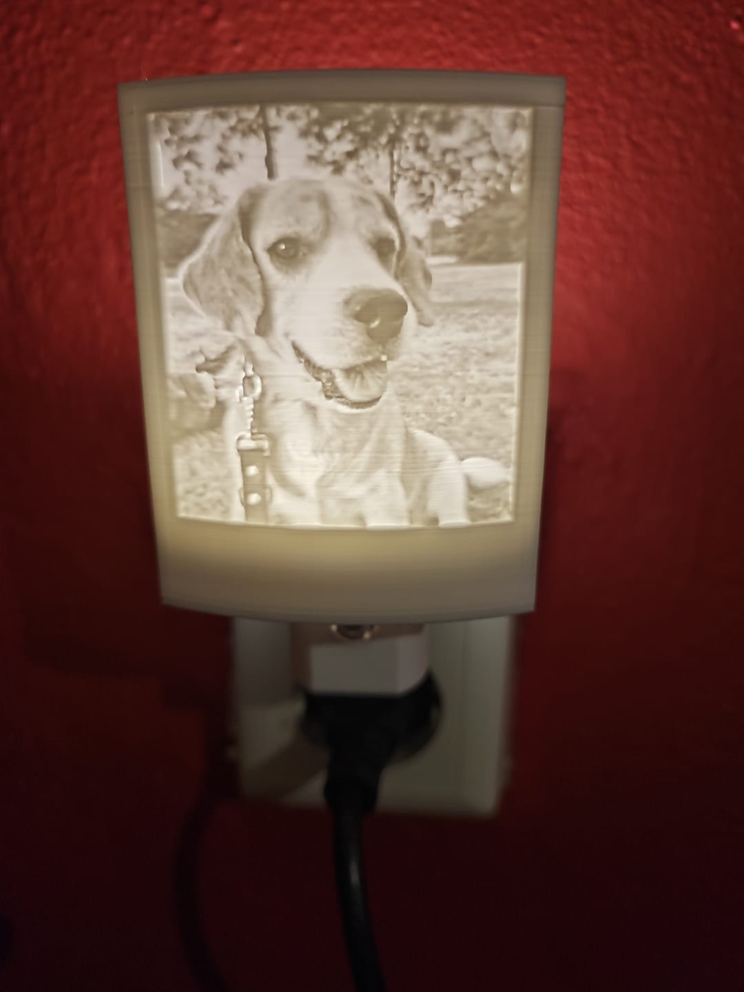 Customer photo review of Memory Frame™ Personalized Night Light