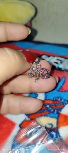 Customer photo review of 925 Sterling Silver Sisters Charm