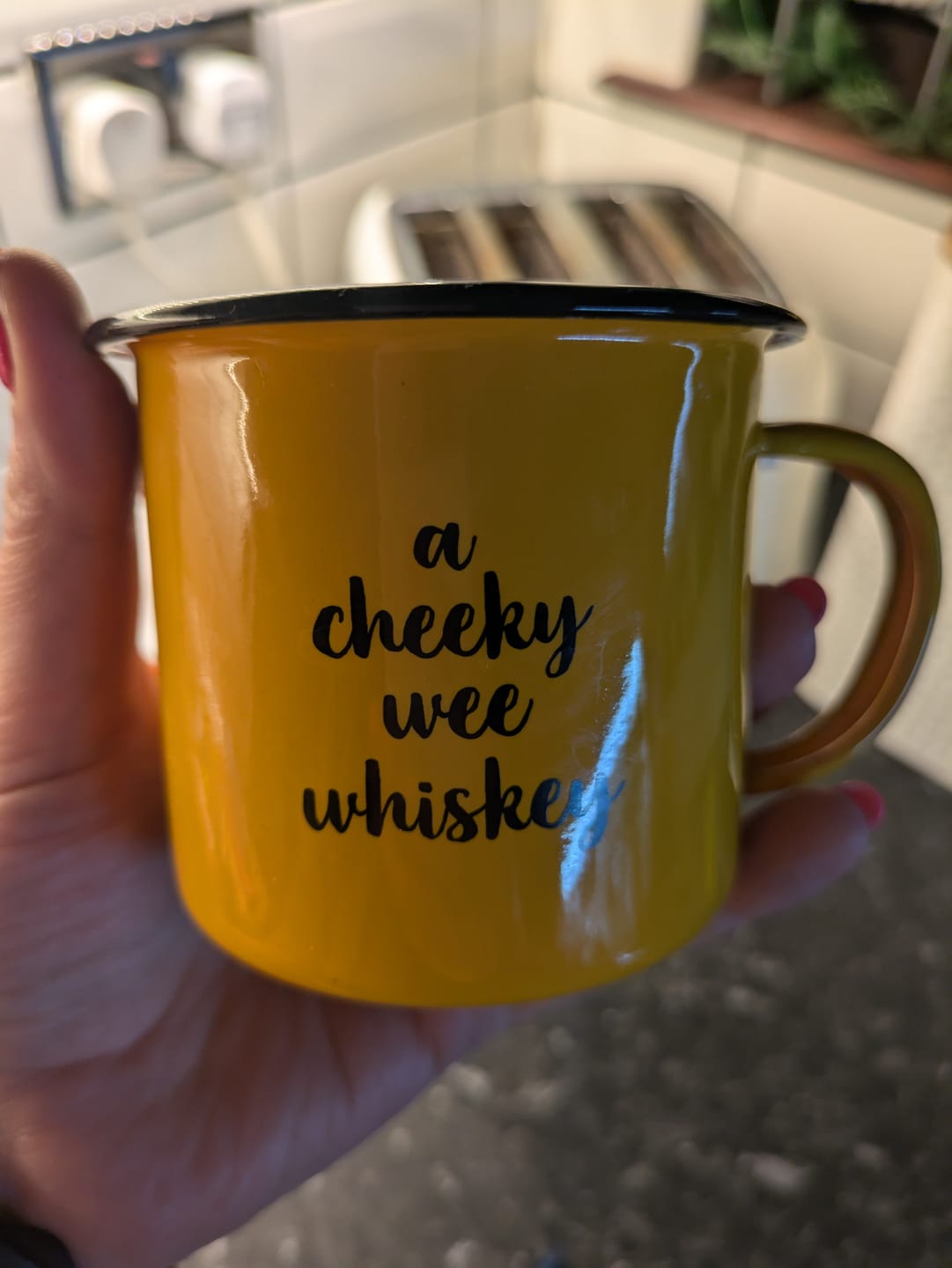 Customer photo review of Cheeky Wee Whiskey Enamel Mug