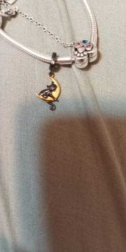 Customer photo review of 925 Sterling Silver Cat on the Moon Charm