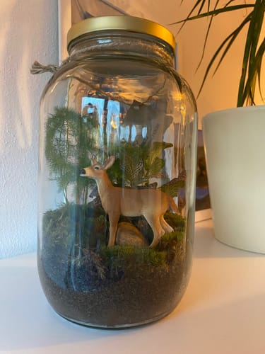 Customer photo review of Flaschengarten 4L