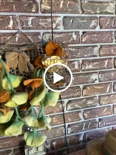 Customer video review of Horizons Edge