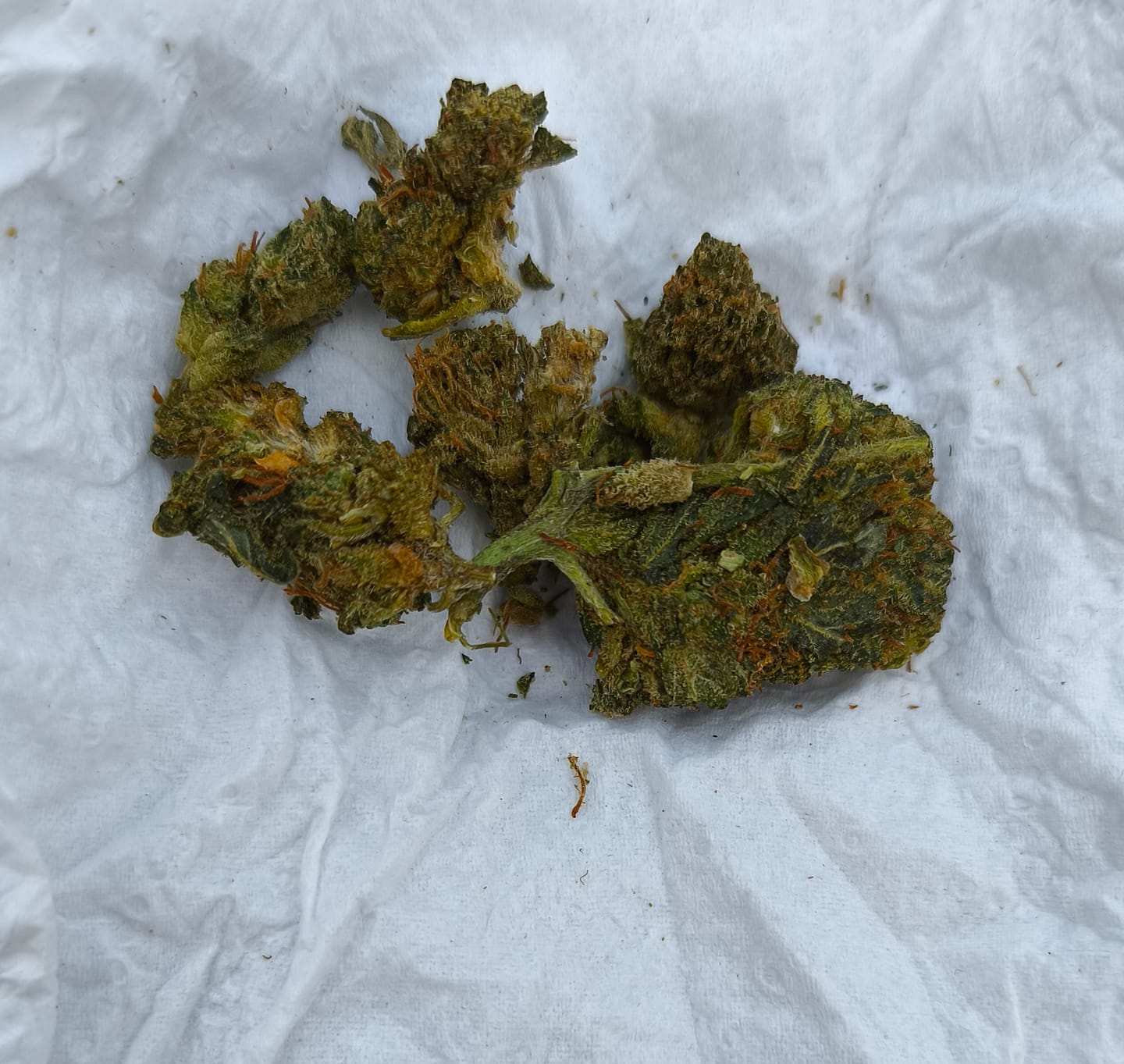 Customer photo review of Fleur 10-OH-HHC - Lifter 30%