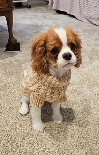 Customer photo review of Fisherman Sweater
