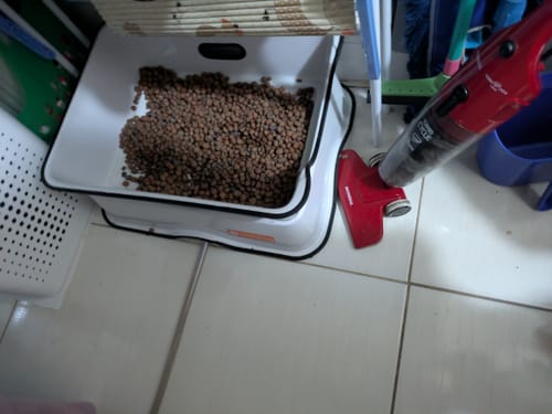 Customer photo review of Weasy Gato