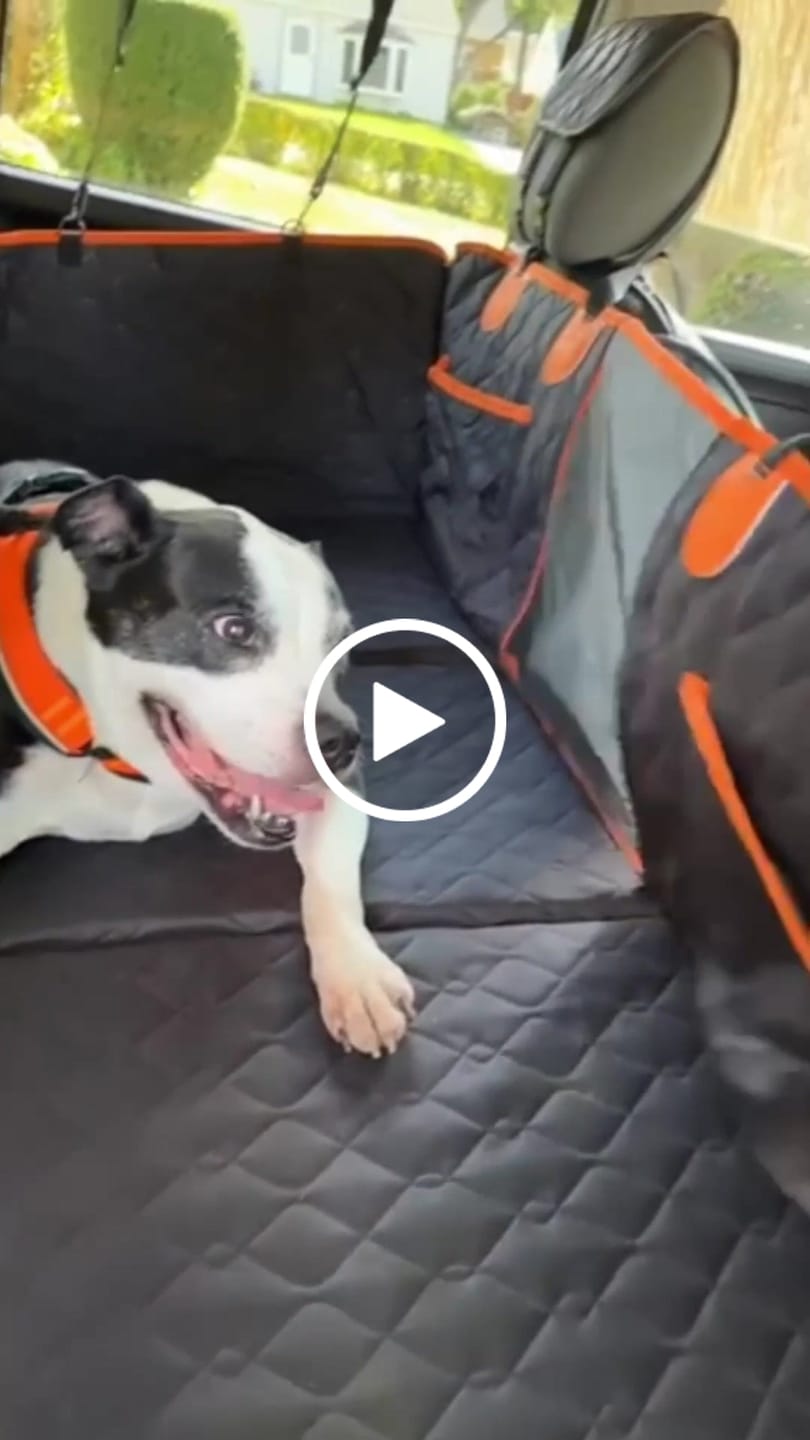 Customer video review of FurGuard™: Hard Bottom Extender