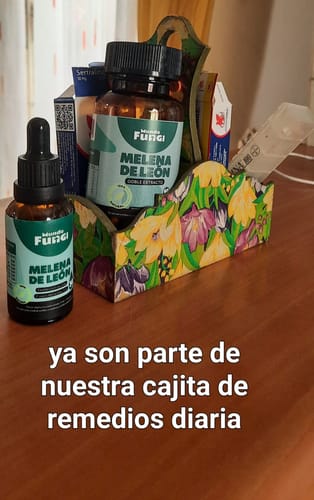 Customer photo review of Melena de León Cápsulas + Gotas - Extracto Ultra Concentrado