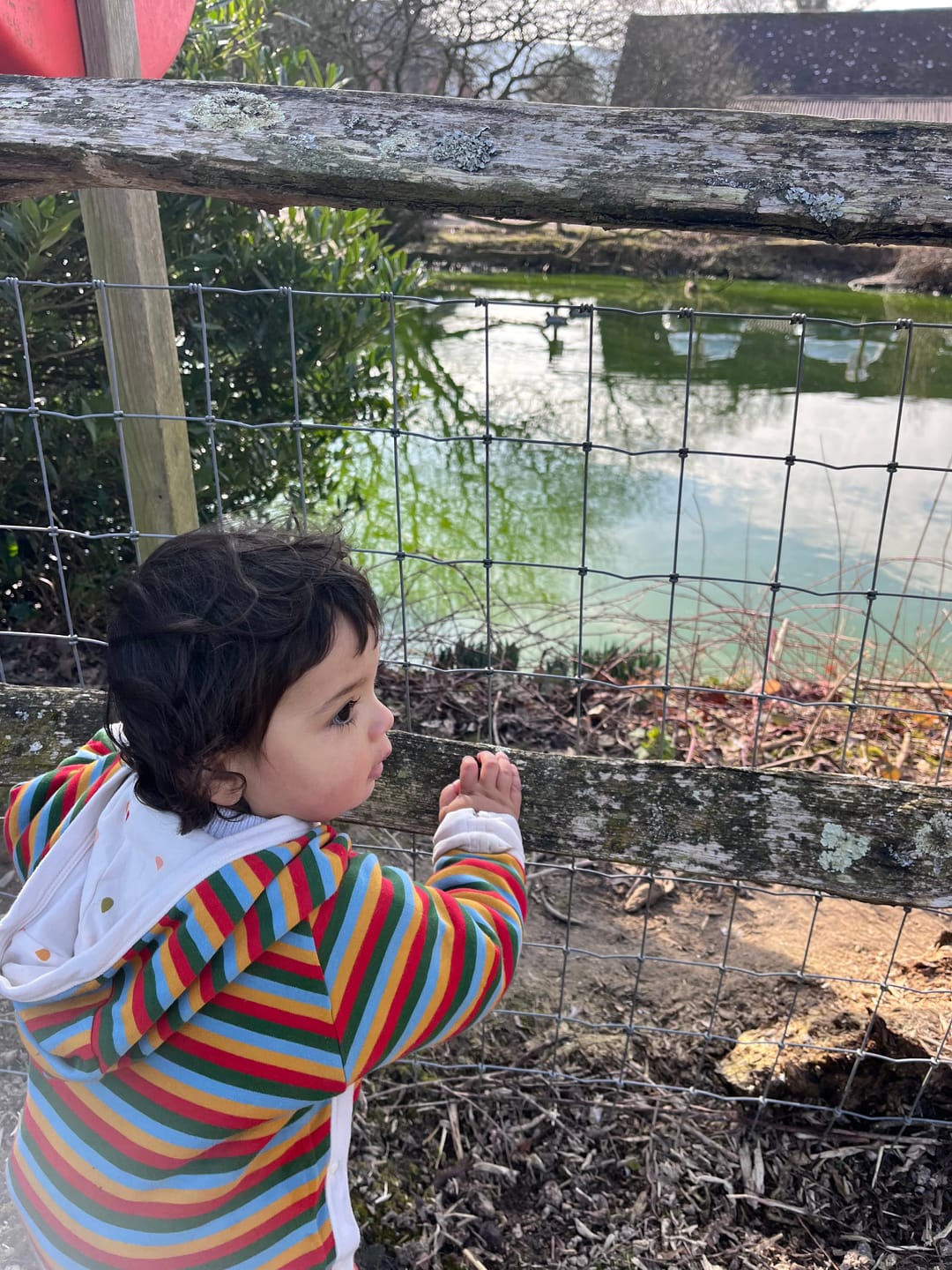 Customer photo review of Drip Drop Reversible Hooded Snug As A Bug Suit