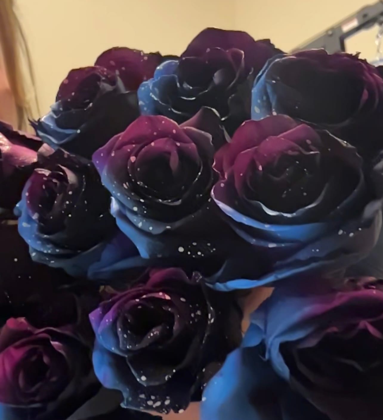 Customer photo review of Starry Galaxy Roses