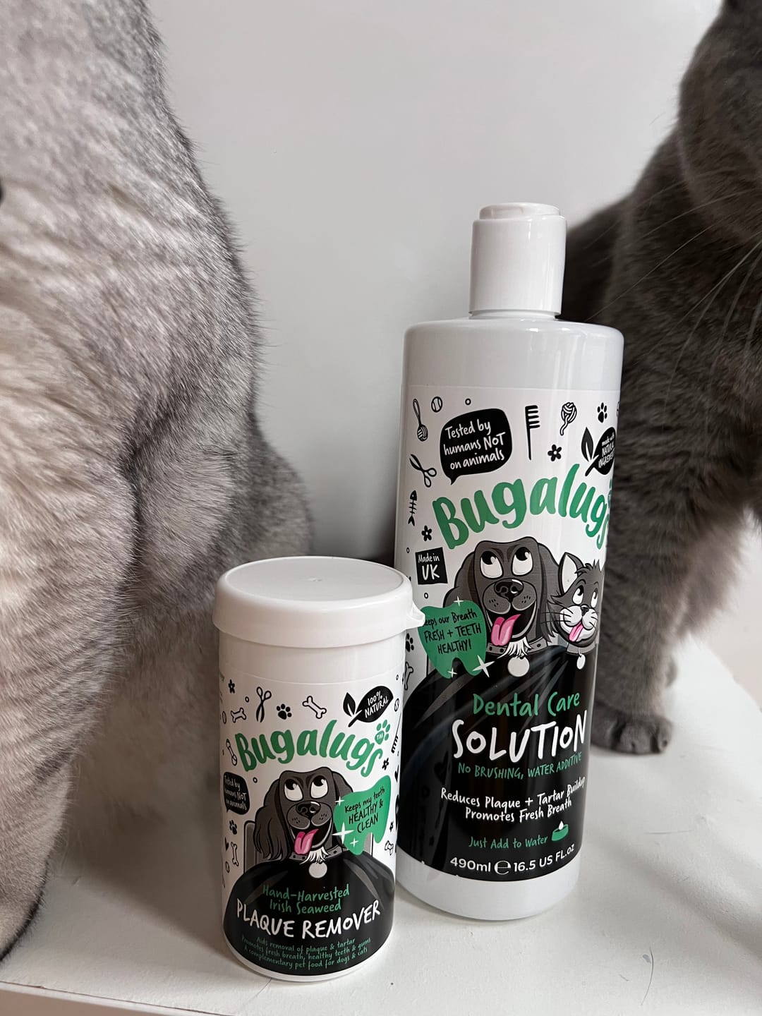 Customer photo review of Dental Care Solution Water Additive for Dogs & Cats