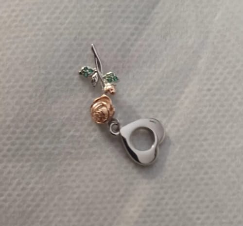 Customer photo review of 925 Sterling Silver Rose Charm