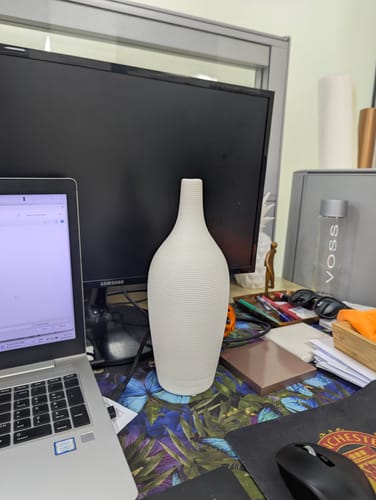 Customer photo review of White Elongated Shape Ceramic Vase (2 Sizes)