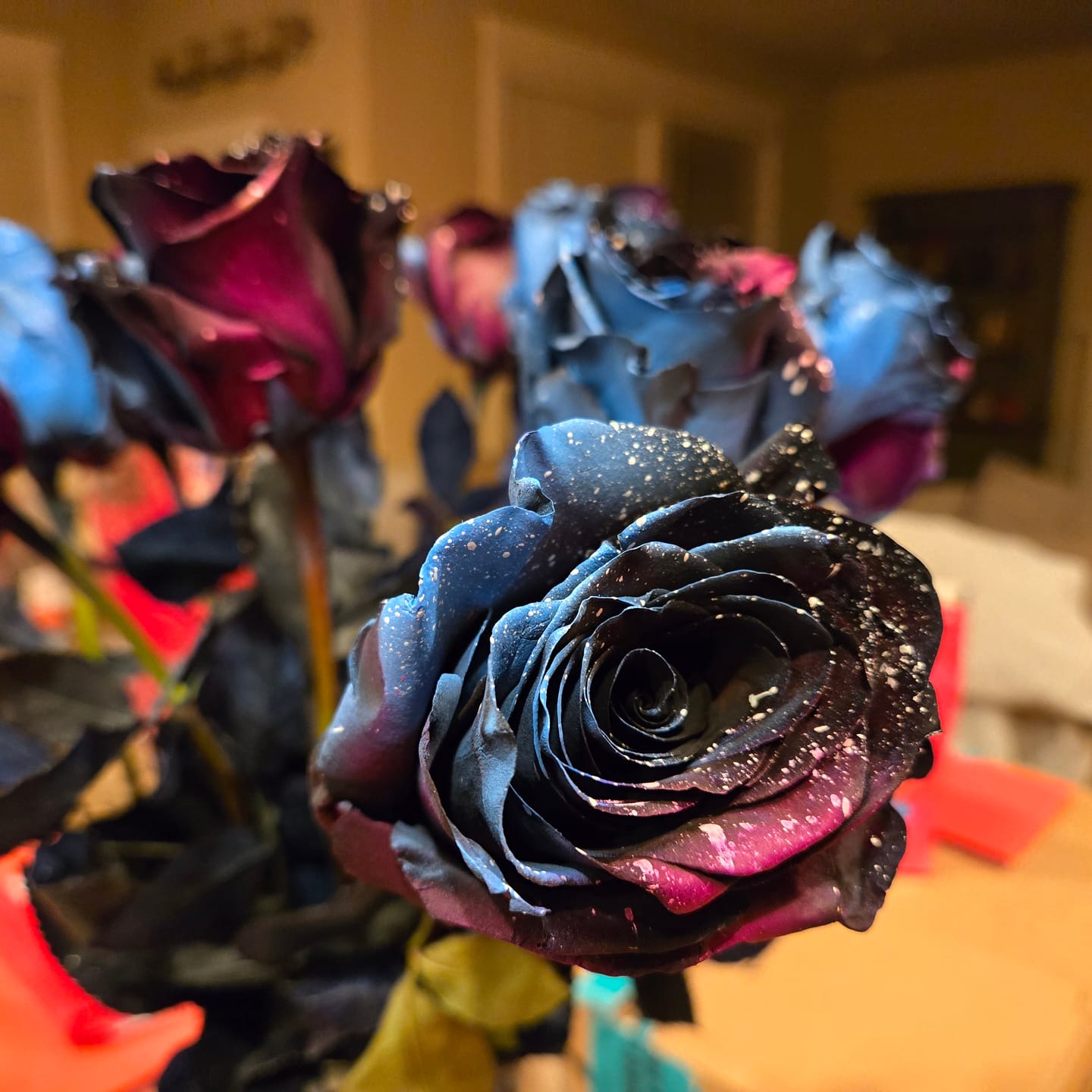 Customer photo review of Starry Galaxy Roses