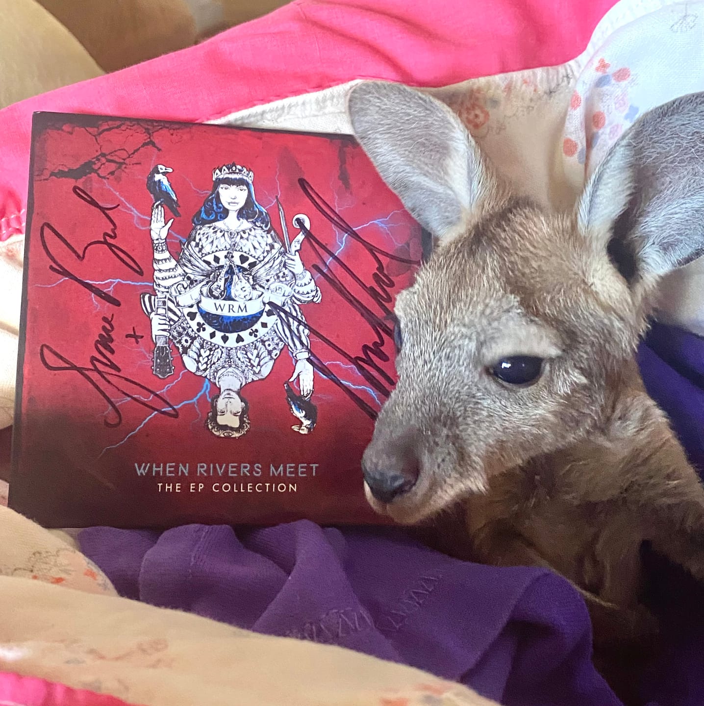 Customer photo review of FREE - The EP Collection - Physical CD