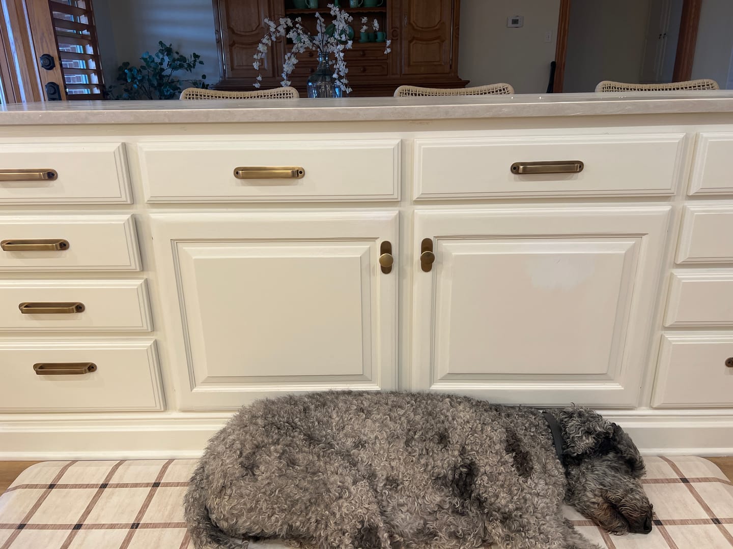 Customer photo review of Brass Antique Round Drawer Pulls with Backplate