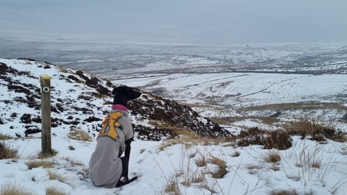 Customer photo review of Fleece Sighthound Base-Layer Coat with Underbelly and Snood