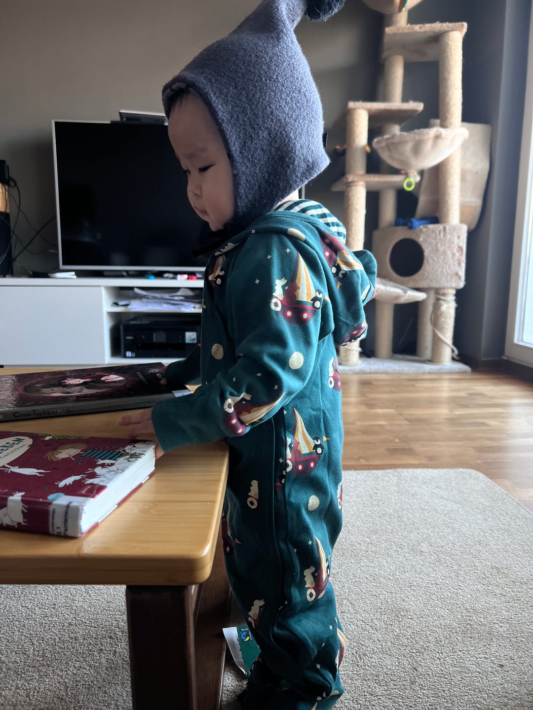 Customer photo review of Stormy Seas Reversible Hooded Snug As A Bug Suit