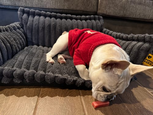 Customer photo review of Strawberry Yak Chews