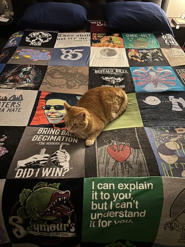 T-shirt quilt featuring buffalo bills by Karen from KY