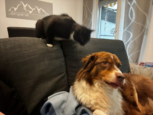 Customer photo review of Lucky Belly