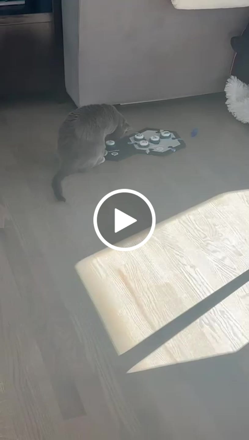 Customer video review of Button Bootcamp