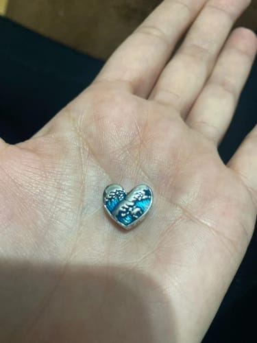 Customer photo review of 925 Sterling Silver Ocean and Sea Life Charm