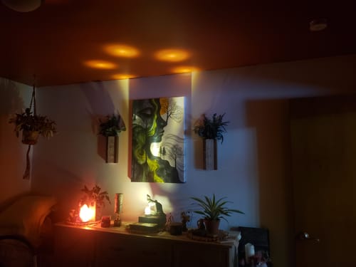 Customer photo review of GAIA CANVAS