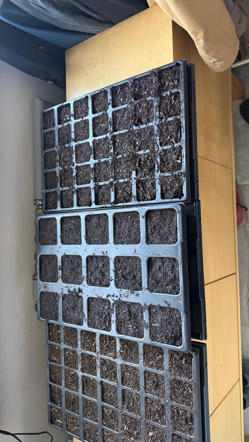 Customer photo review of QuickPot Anzuchtplatten (verschiedene Größen)