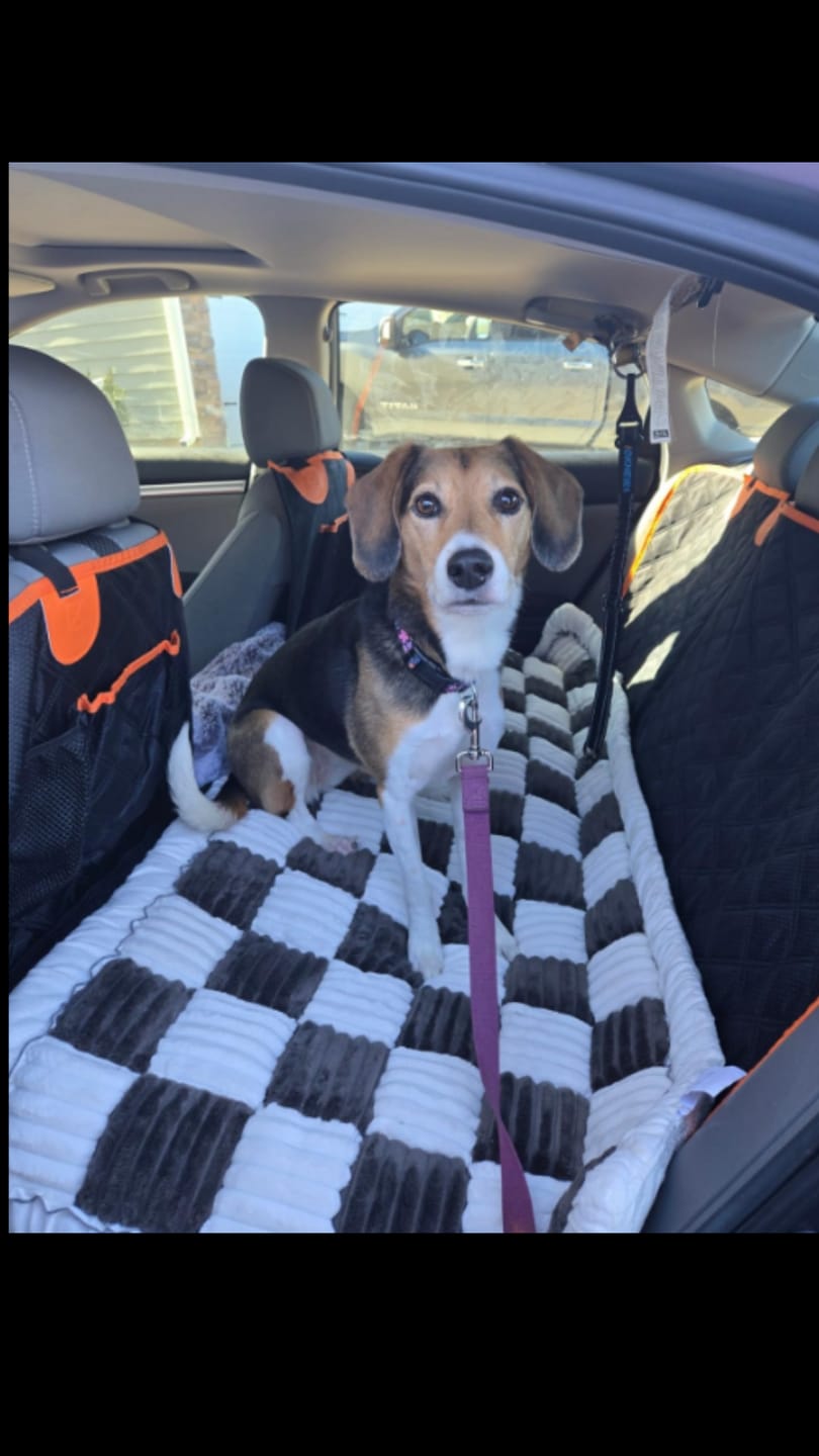 Customer photo review of FurGuard™: Hard Bottom Extender