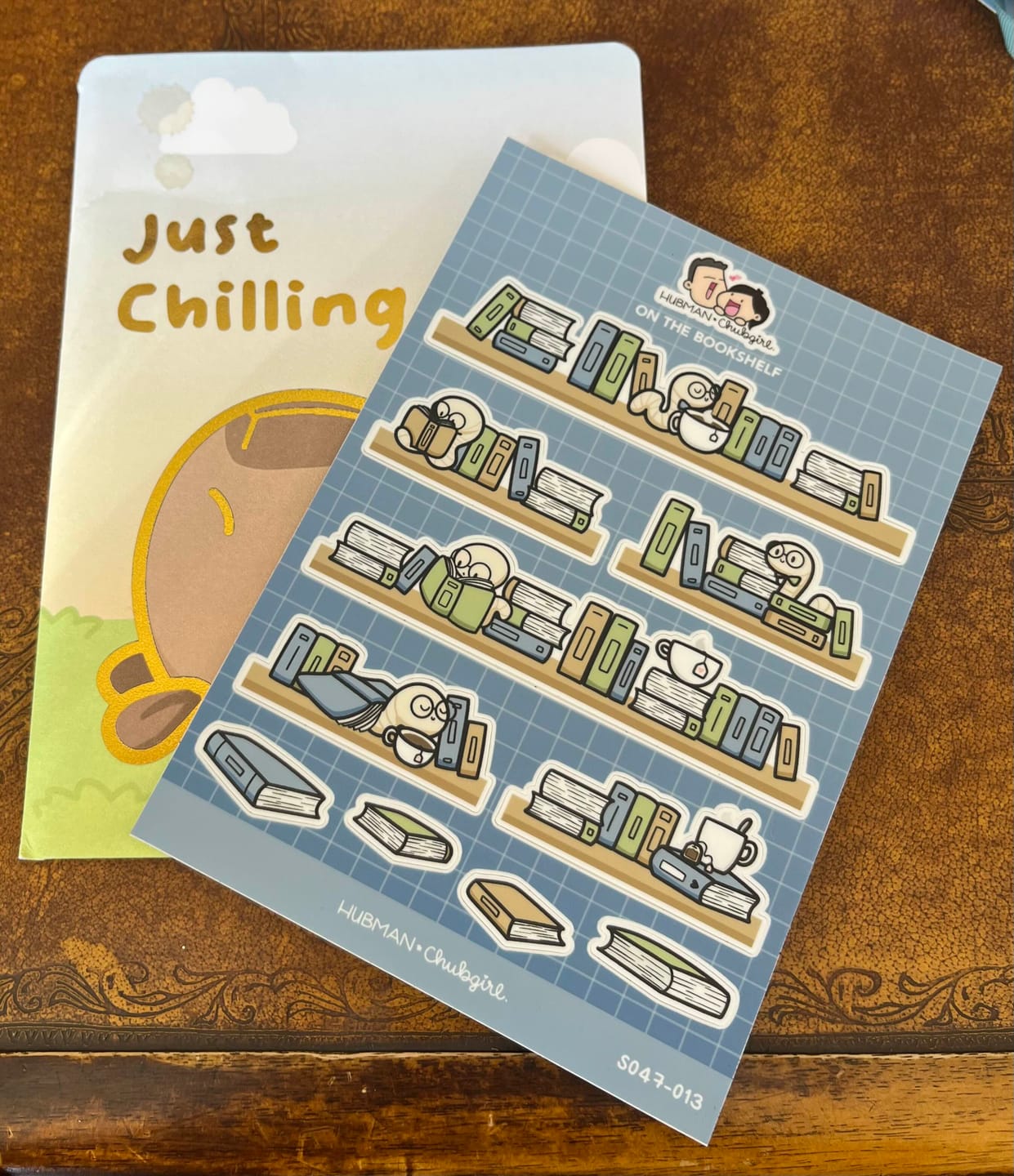 Customer photo review of On the Bookshelf Sticker Sheet