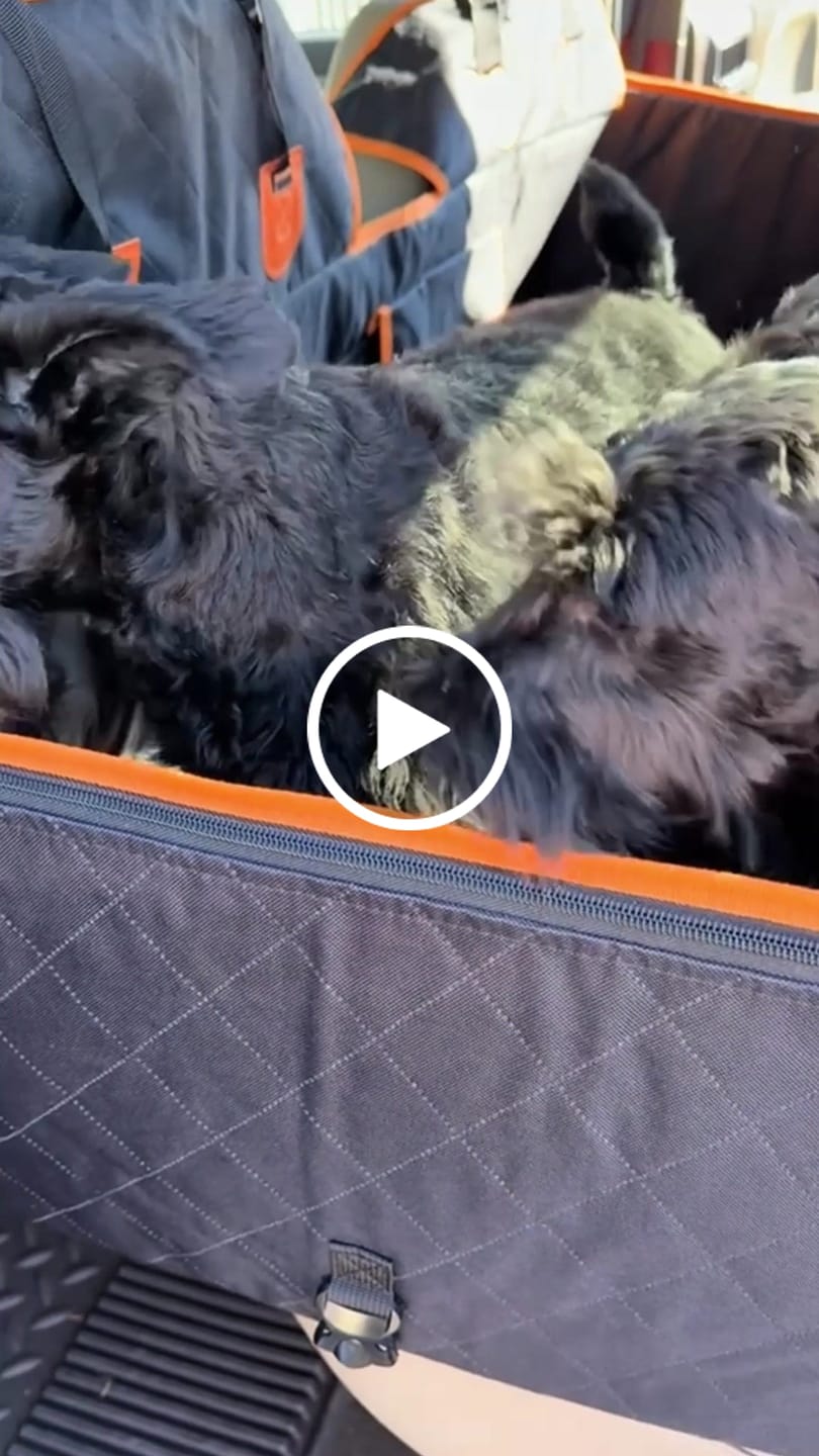 Customer video review of FurGuard™: Hard Bottom Extender