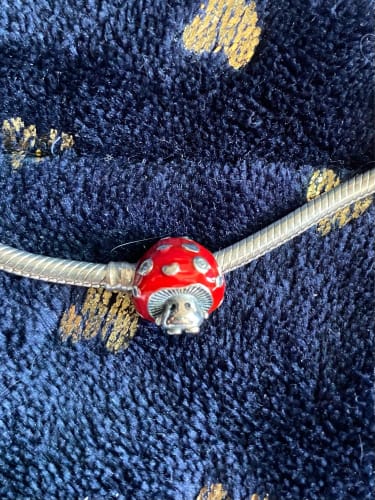 Customer photo review of 925 Sterling Silver Red Mushroom Charm