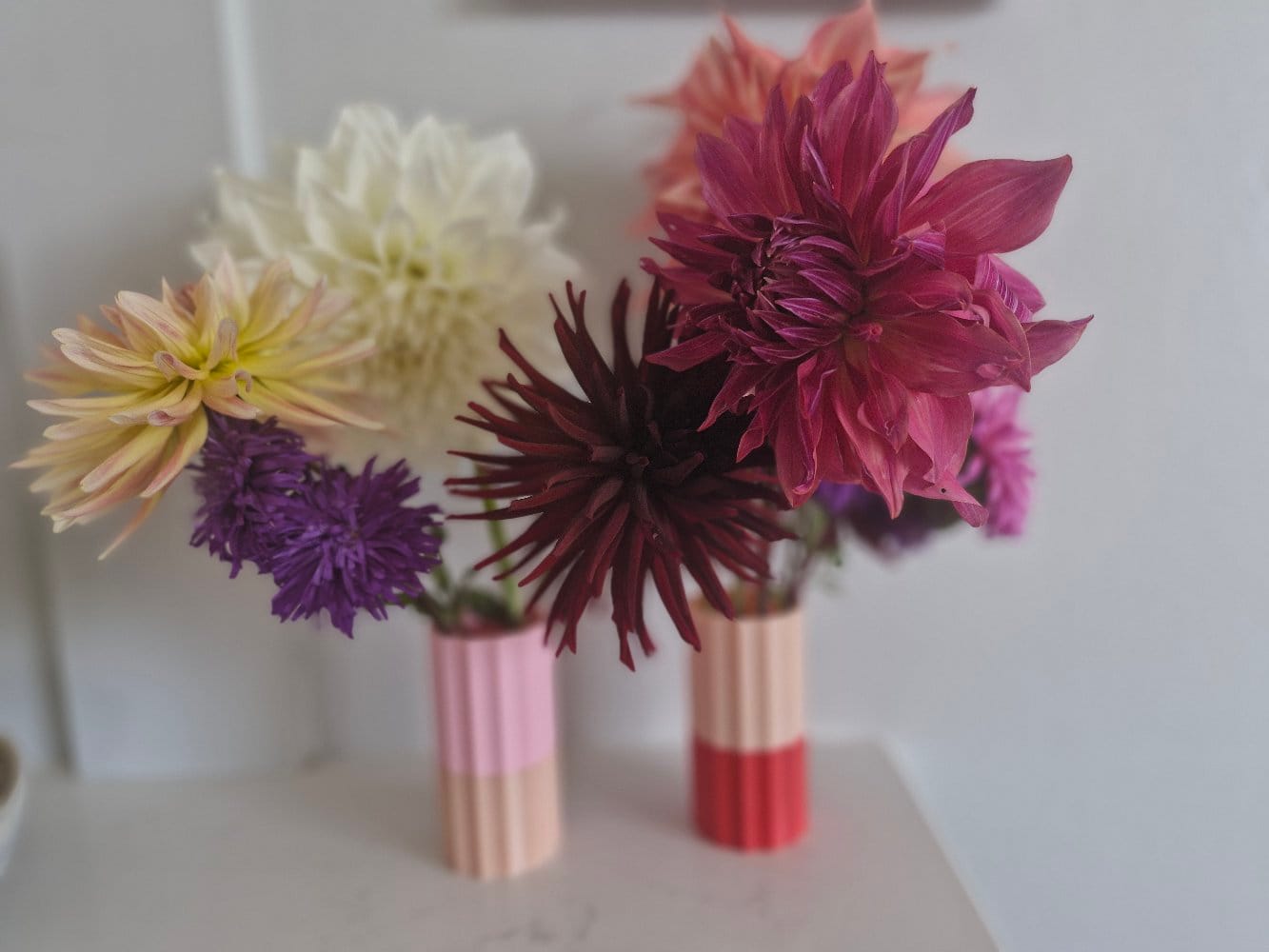 Customer photo review of Mini Millie