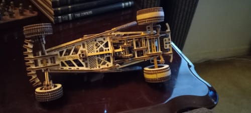 Customer photo review of Mad Buggy