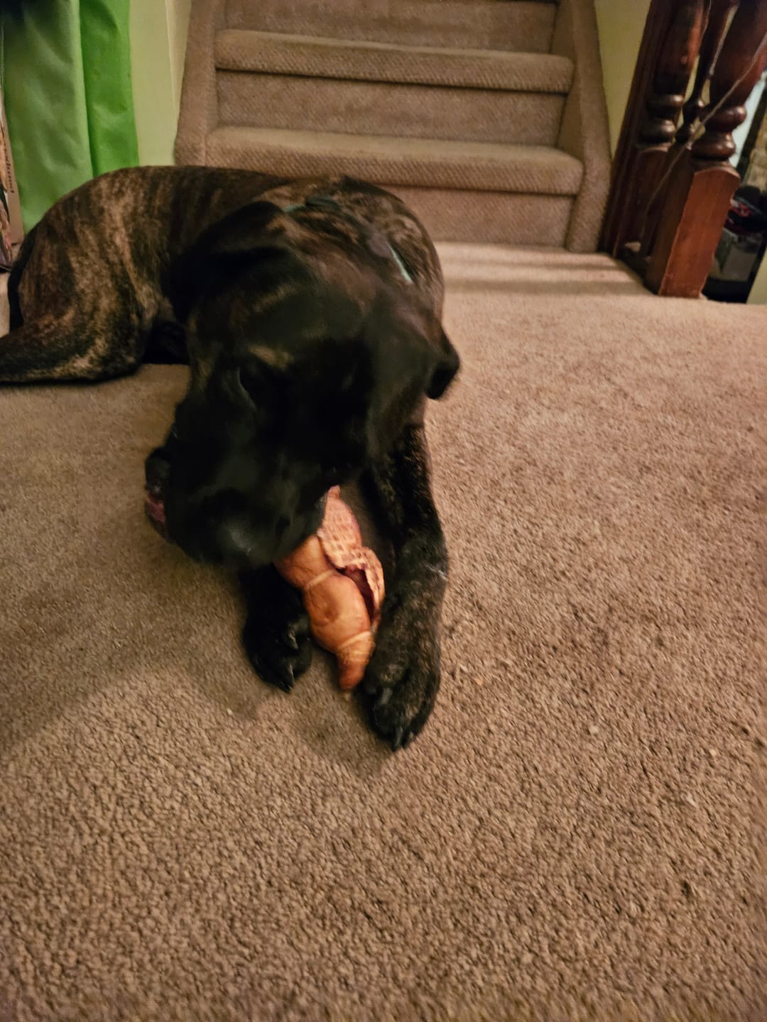 Customer photo review of 10-12 Inch Peanut Butter Cheek Roll