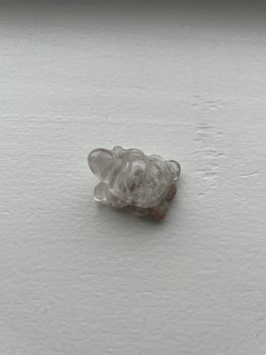 Customer photo review of Mini Garden Quartz (Lodolite) Turtles 🐢🌺