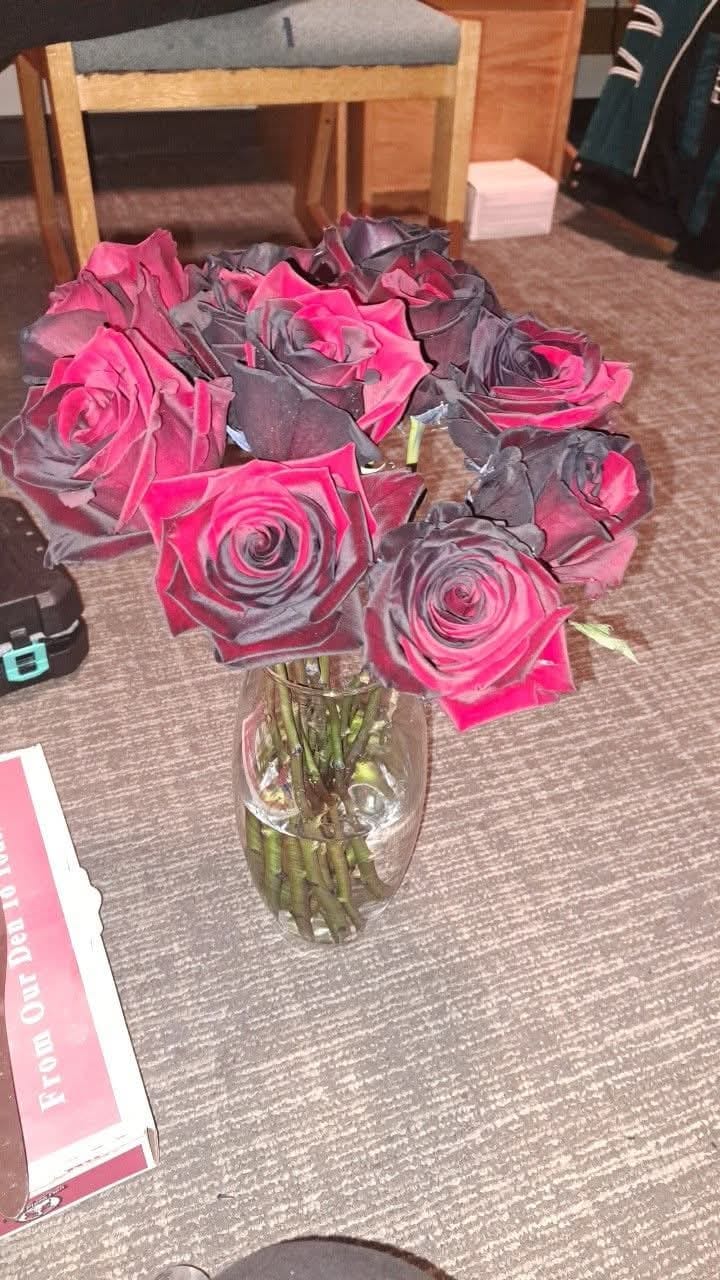 Customer photo review of Black and Red Tinted Roses